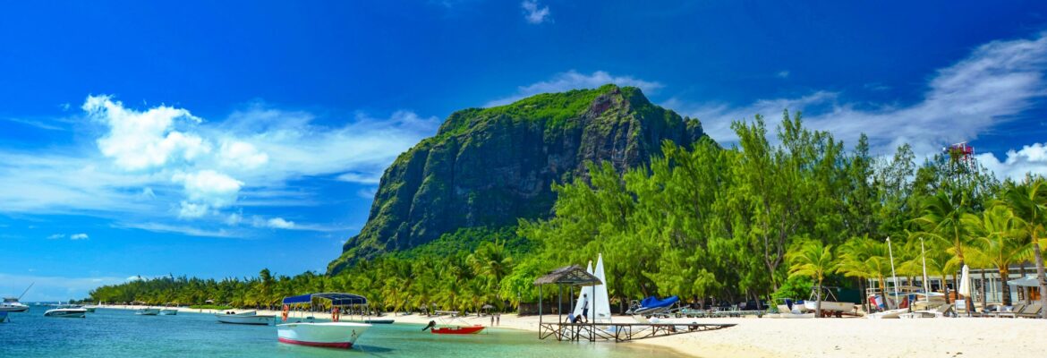 Paid internships in mauritius